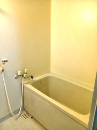 �@�o�X�^�V�����[